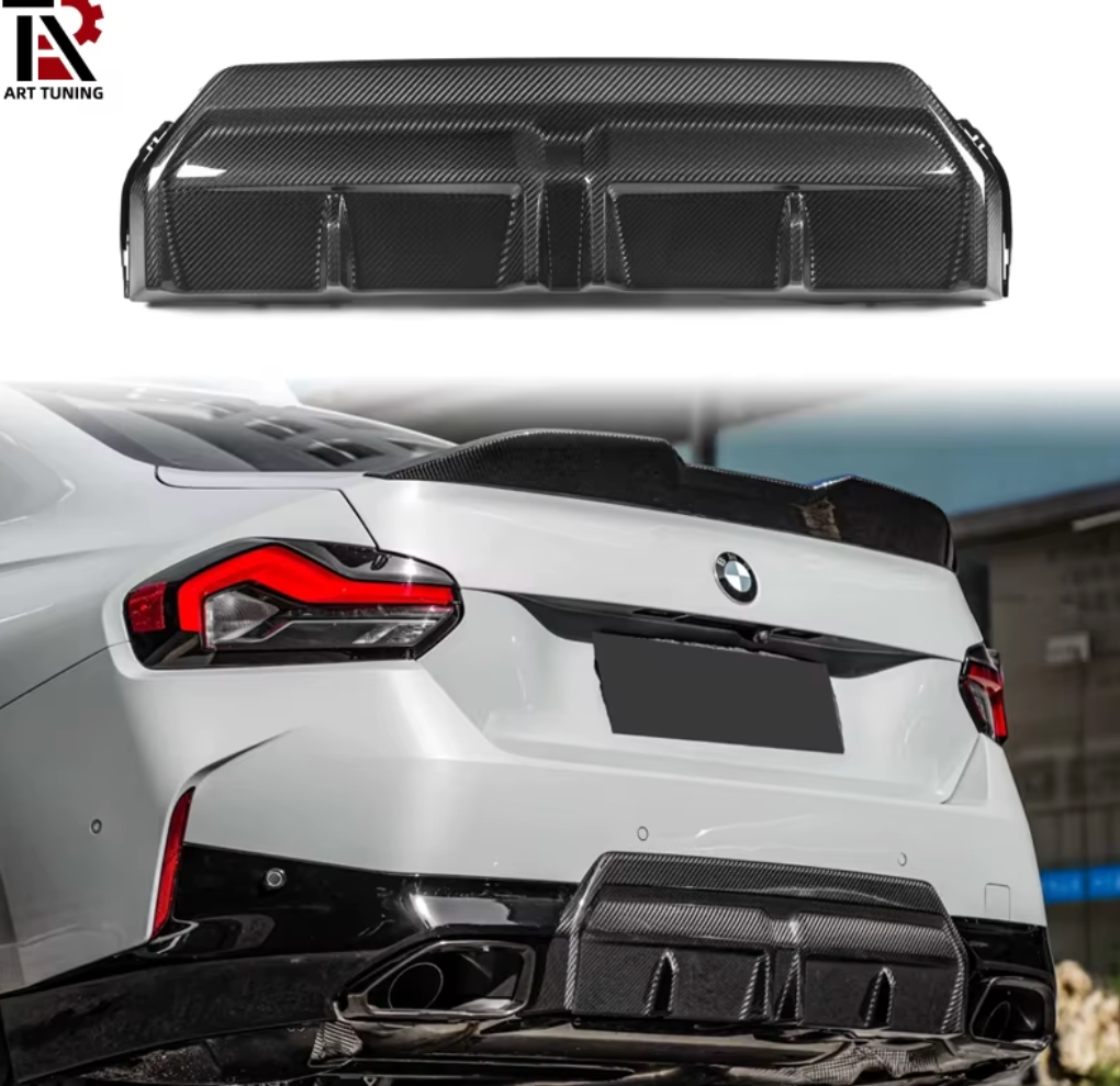 Dry Carbon Fiber Rear Lip
