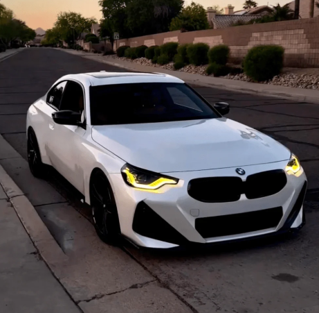 BSP Module Bmw Series 2 G42 G87 M2 2022– Adaptive LED Only